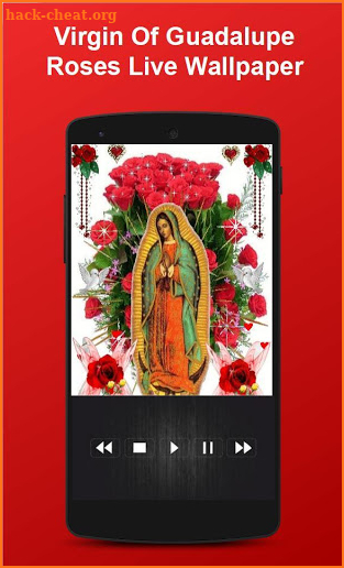 Virgin Of Guadalupe Roses Live Wallpaper screenshot