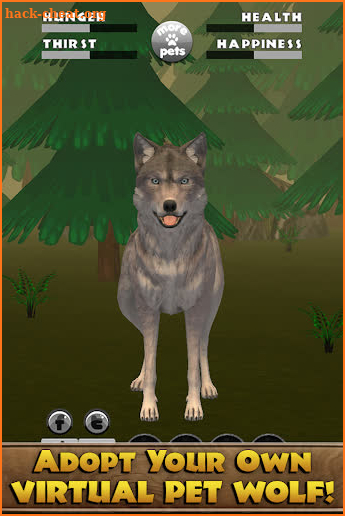 Virtual Pet Wolf screenshot