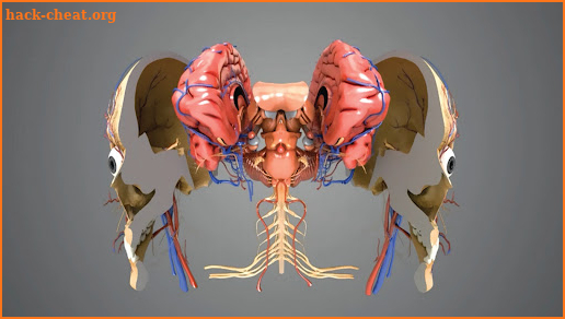 Virtual Reality Human Body! screenshot