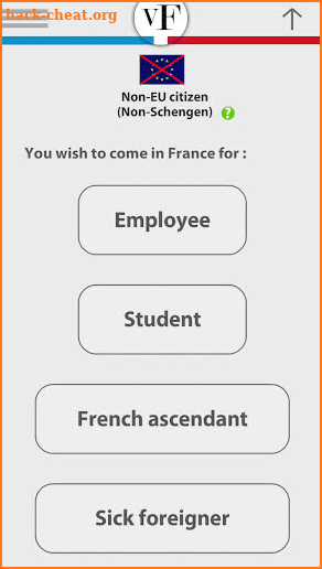 Visa France ENGLISH screenshot