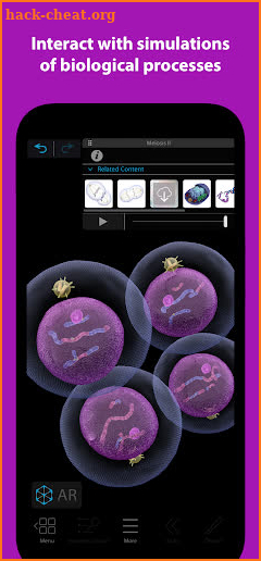 Visible Biology screenshot