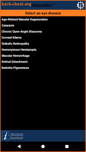 VisionSim by Braille Institute screenshot