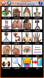 Visual Anatomy screenshot