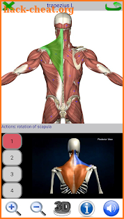 Visual Anatomy 2 screenshot