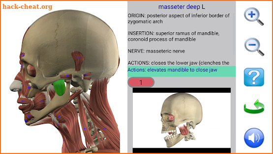 Visual Anatomy screenshot