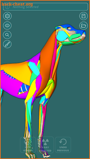 Visual Anatomy 3D - Canine screenshot