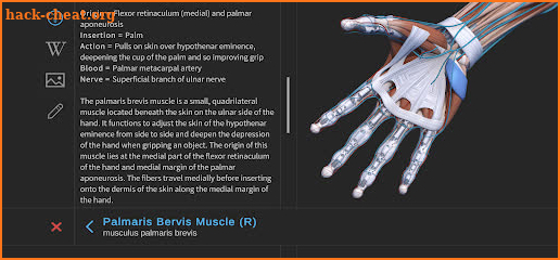 Visual Anatomy 3D - Human body screenshot