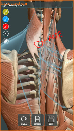 Visual Anatomy 3D | Human screenshot