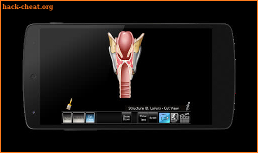 Vocal Folds ID screenshot