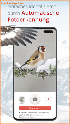 Vogelführer Birdlife Schweiz screenshot