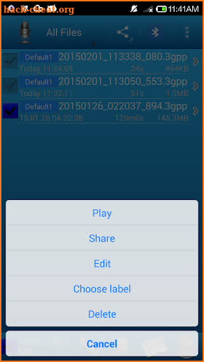 Voice Memos(Recorder) screenshot