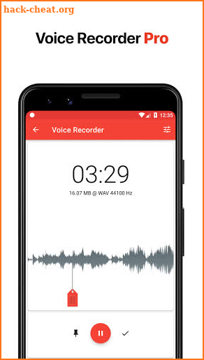 Voice Recorder Pro screenshot