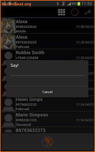 VoiceButton Plus screenshot