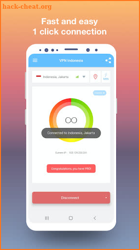 VPN Indonesia - get free Indonesian IP screenshot
