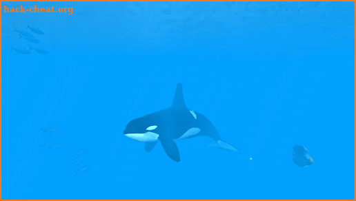 VR Ocean Aquarium 3D screenshot