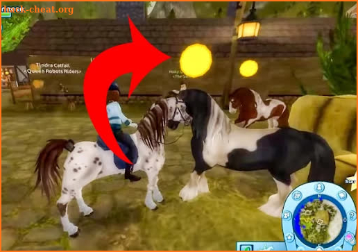 Walkthrough for Star Stable screenshot