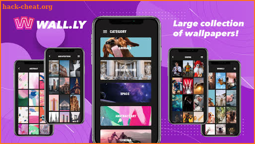 Wall.ly Pro screenshot