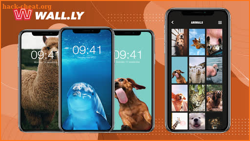 Wall.ly Pro screenshot