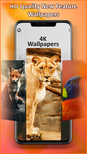 Wallpaper 20M+: 20 Million Nature Beauty Wallpaper screenshot