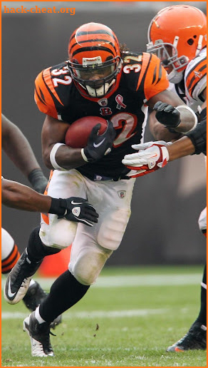 Wallpapers for Cincinnati Bengals Team screenshot