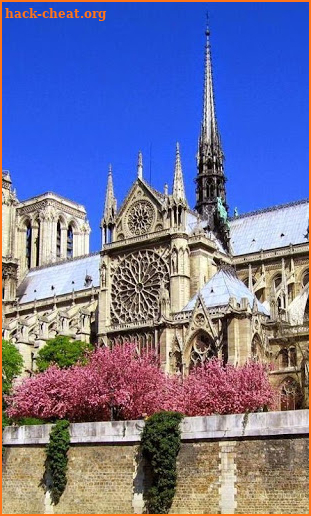 Wallpapers Notre Dame screenshot