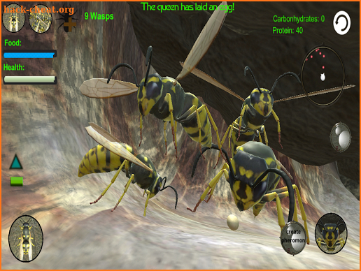 Wasp Nest Simulator 3d - Pro screenshot