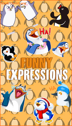 🐧 WAstickerApps Penguin Funny Memes Stickers screenshot