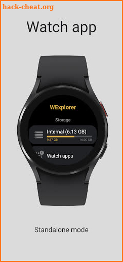 Watch Explorer screenshot