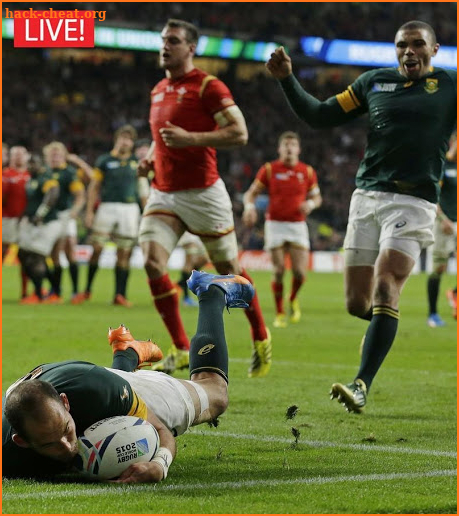 Watch Rugby world cup 2019 Live Stream screenshot