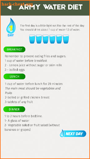 Water diet army screenshot