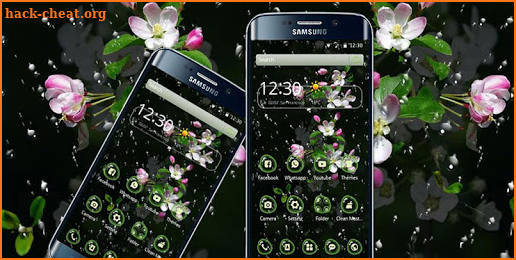 Water drops, pink peach blossoms, romantic love screenshot