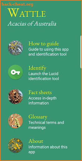 Wattle - Acacias of Australia screenshot