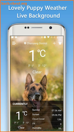 Weather Puppy-Radar,Forecast & Pet Dog Pictures screenshot