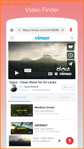 Website Video Downloader screenshot