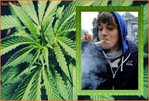 Weed Photo Frames screenshot