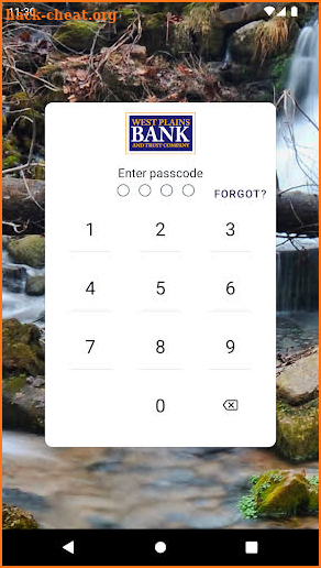 West Plains Bank and Trust Co screenshot