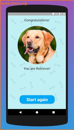 What dog breed are you? Test screenshot