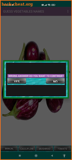 Whats this Vegetable name? screenshot