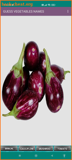 Whats this Vegetable name? screenshot