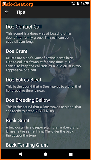 Whitetail Deer Calls screenshot