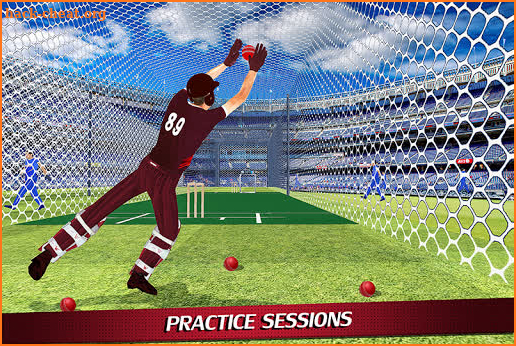 Wicket Keeper 2019: Cricket Cup screenshot