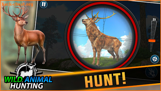 Wild Animal Hunt Adventure: Animal Hunting Games screenshot