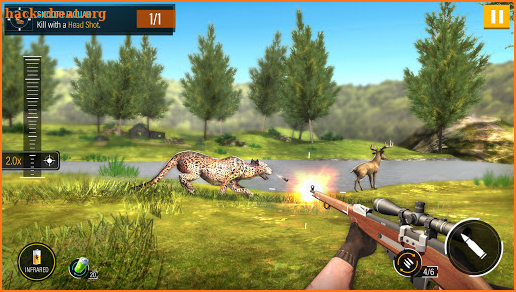 Wild Animal Hunting 2020 Free screenshot