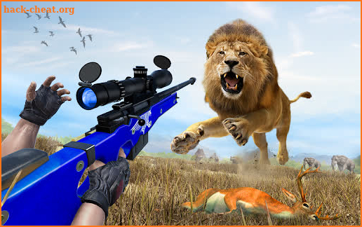 Wild Animal Hunting Games: Animal Shooting Games screenshot