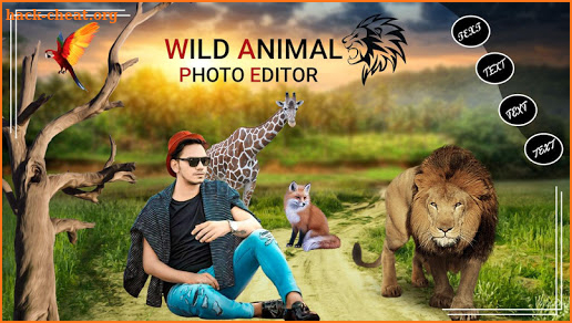 Wild Animal Photo Editor screenshot