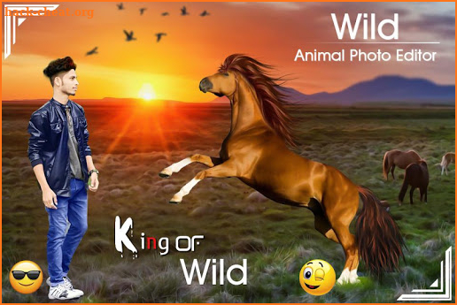 Wild Animal Photo Editor: Photo with Wild Animal screenshot