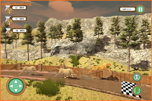 Wild Animals Racing: Racing Battle 2019 screenshot