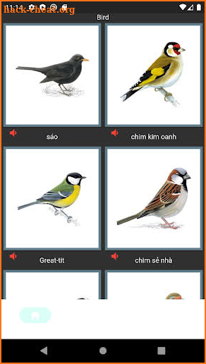 Wild Audio Bird screenshot