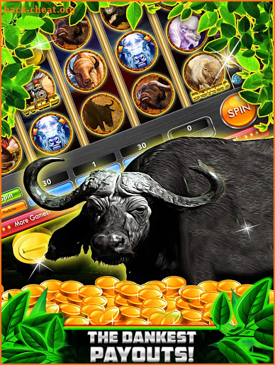 Wild Buffalo Safari HD Slots screenshot