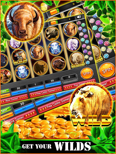 Wild Buffalo Safari HD Slots screenshot